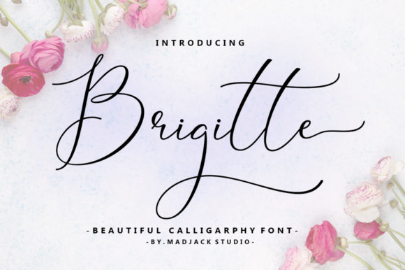 Brigitte: The Script Font That Elevates Your Brand’s Visual Identity