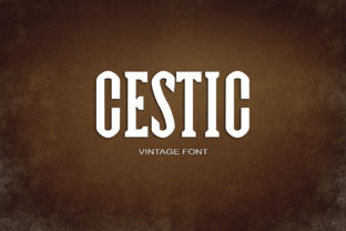 Cestic: A Serif Font for Timeless Web Design