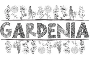 Gardenia LF: A Decorative Font for Nature-Inspired Branding