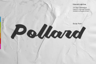 Pollard Script: A Modern Script Font for Editorial Design