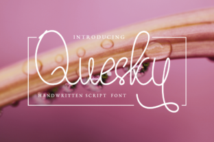 Quesky: A Script Font That Breathes Personality Into Branding